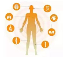 生物領(lǐng)域最難的56個(gè)問(wèn)題 一場(chǎng)深度探尋生命奧秘的挑戰(zhàn)