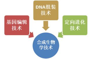 合成生物學(xué)領(lǐng)域的前沿技術(shù)及中國(guó)國(guó)際地位現(xiàn)狀